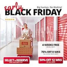 Access Storage  Promotion