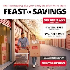 Access Storage  Promotion