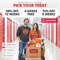 Access Storage  Promotion